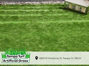 Tampa Turf and Artificial - commercial grass solutions Grass